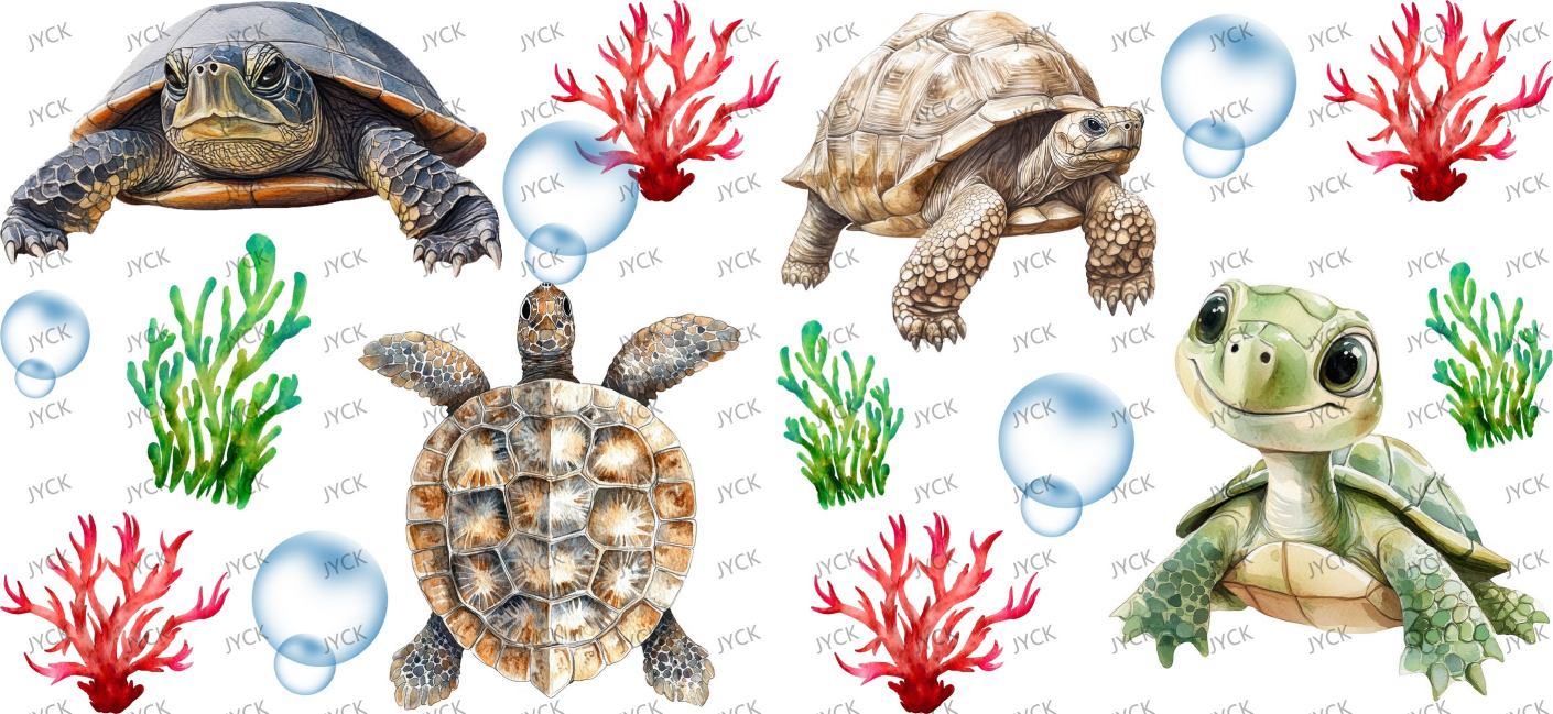 tortoise-Y48164