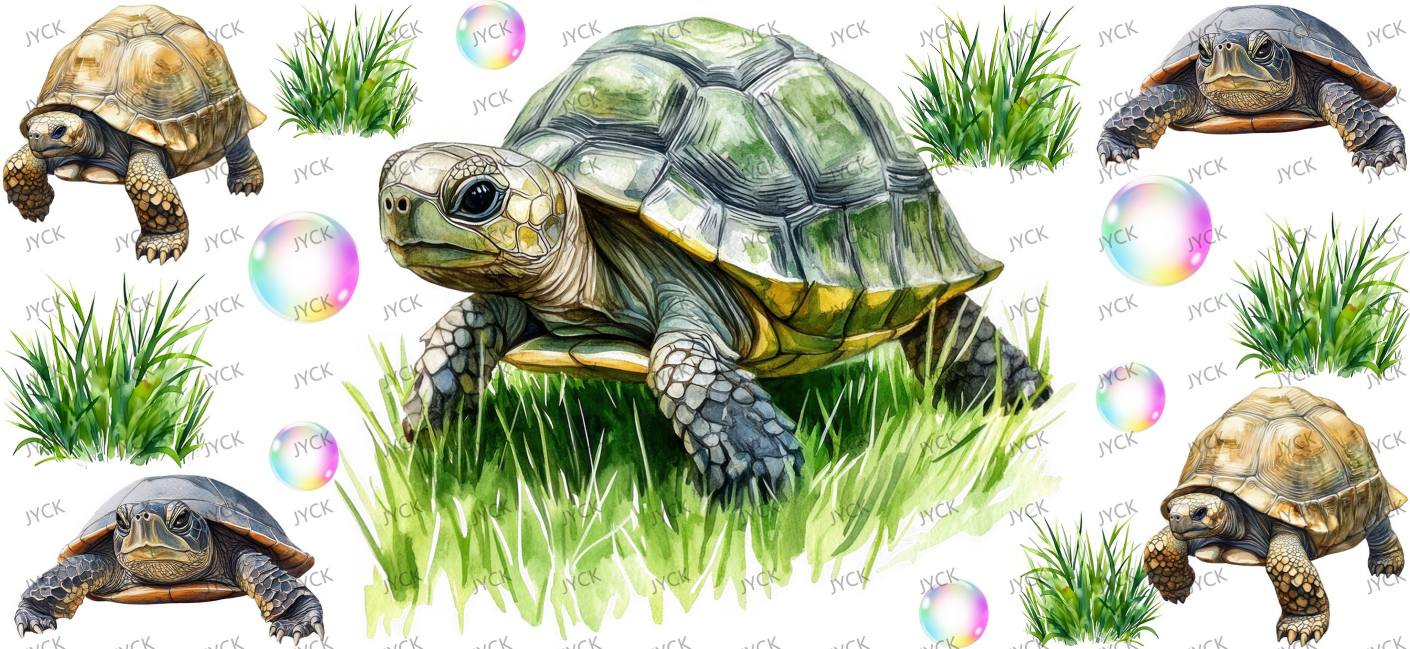 tortoise-Y48165