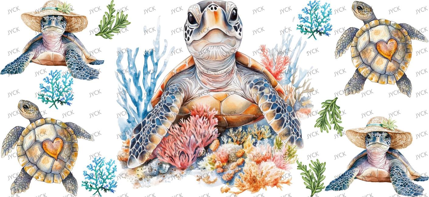 tortoise-Y48170