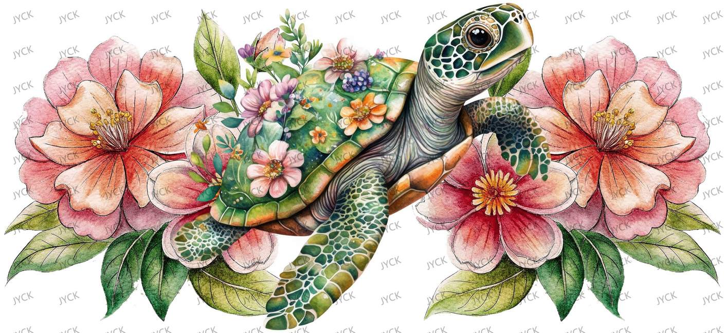 tortoise-Y48171