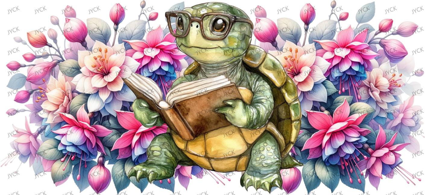tortoise-Y48172