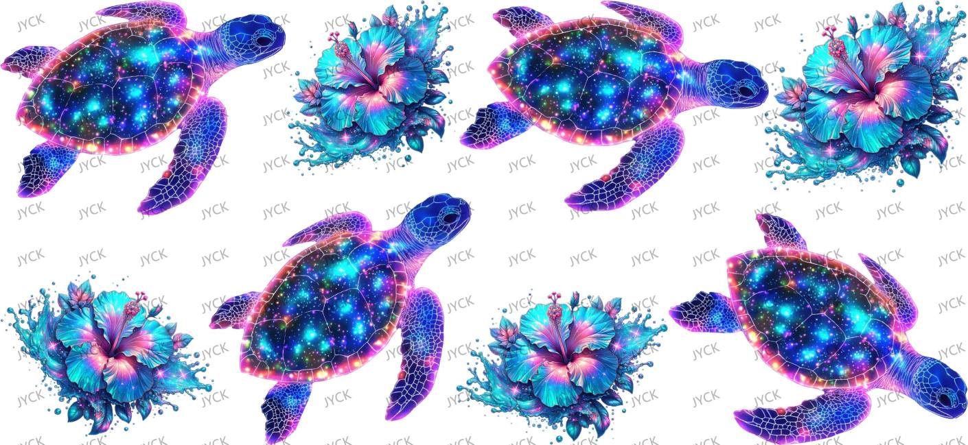 tortoise-Y48173