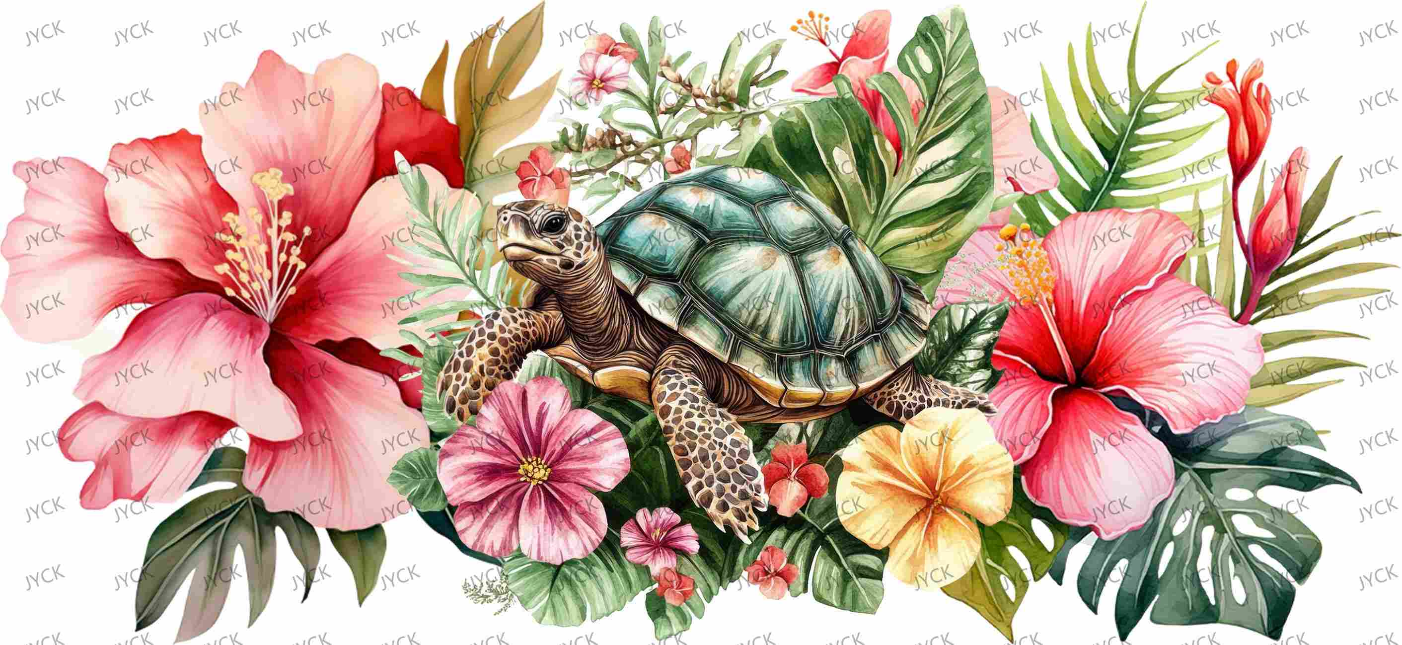 tortoise-Y48174