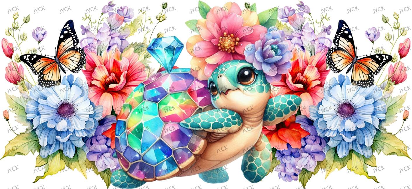 tortoise-Y49619