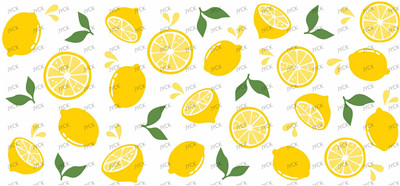 Fruit-Y11091