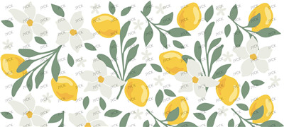 Fruit-Y11092