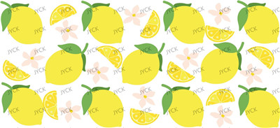 Fruit-Y11093