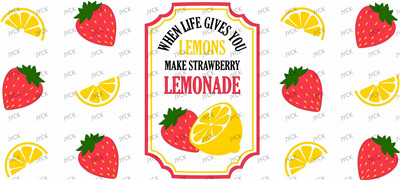 Fruit-Y11105
