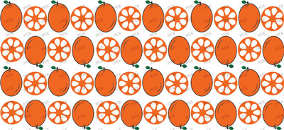 Fruit-Y20864