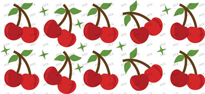 Fruit-Y20873