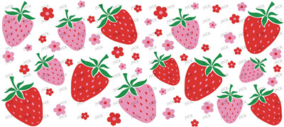 Fruit-Y6263