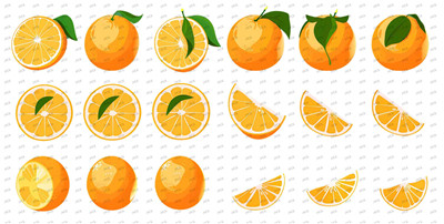 Fruit-Y8519