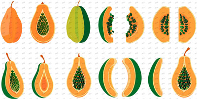 Fruit-Y8529