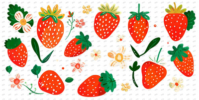 Fruit-Y8539