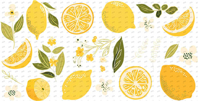 Fruit-Y8602