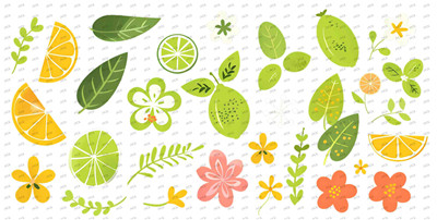 Fruit-Y8612