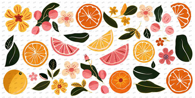 Fruit-Y8614