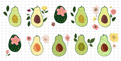 Fruit-Y8668