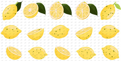 Fruit-Y9013