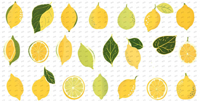 Fruit-Y9024