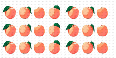 Fruit-Y9360
