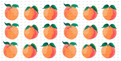 Fruit-Y9361