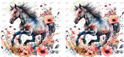 Other animal-Y36914