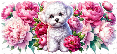 Other animal-Y37886