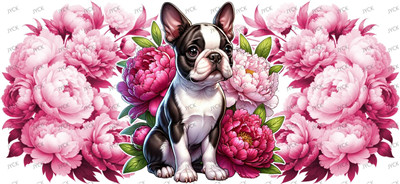 Other animal-Y37888