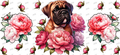 Other animal-Y37891