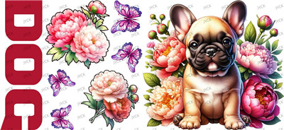 Other animal-Y37892
