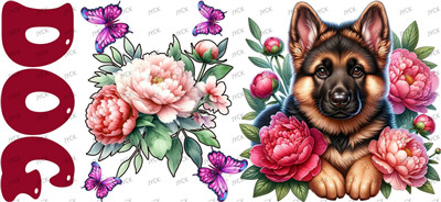 Other animal-Y37893