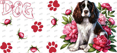 Other animal-Y37904