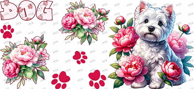 Other animal-Y37907