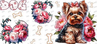 Other animal-Y37908