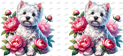 Other animal-Y37909