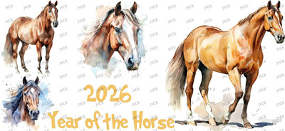 Other animal-Y41236