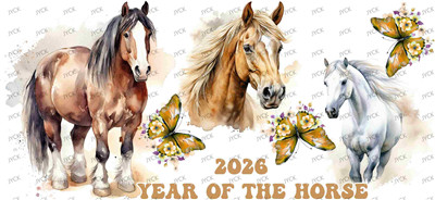 Other animal-Y41237
