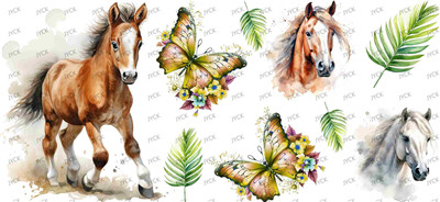 Other animal-Y41238