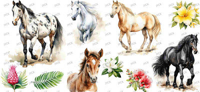 Other animal-Y41239