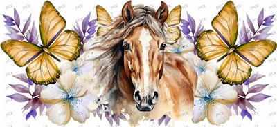 Other animal-Y41240