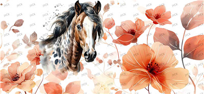 Other animal-Y41243