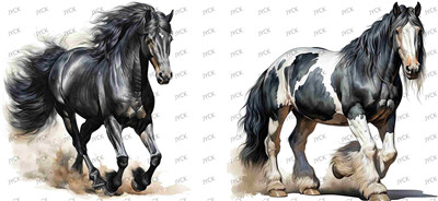 Other animal-Y41245