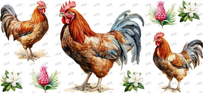 Other animal-Y42109