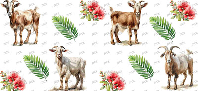 Other animal-Y42111