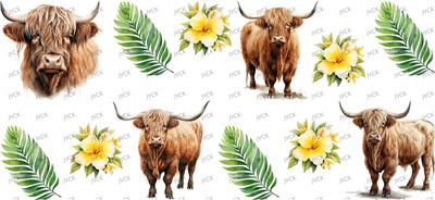 Other animal-Y42112