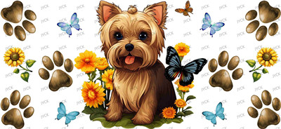 Other animal-Y43939