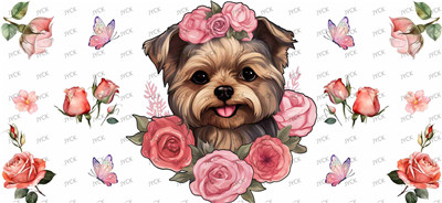 Other animal-Y43940