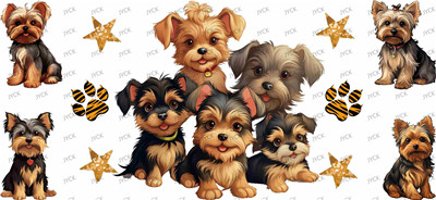 Other animal-Y43941