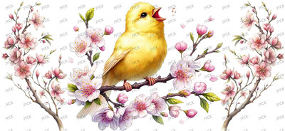 Other animal-Y43943